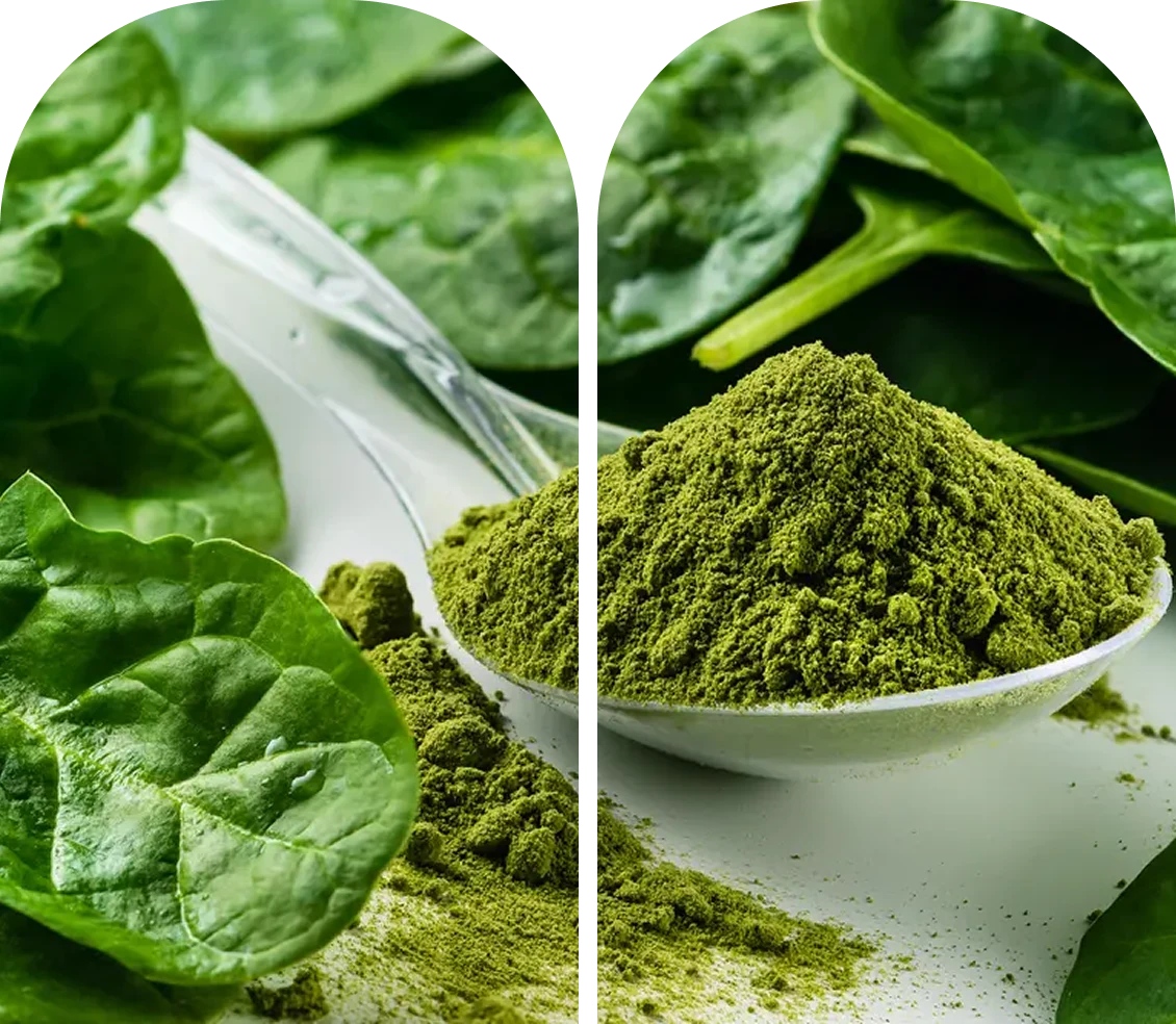 Spray drying and powder processing
